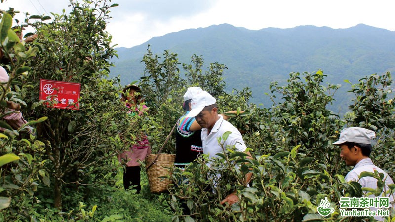图片关键词 图片关键词
