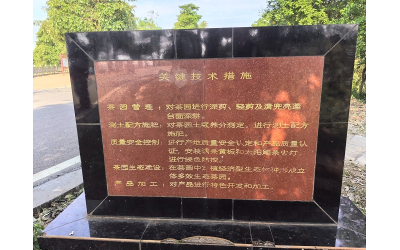 关键技术措施 Key technical measures