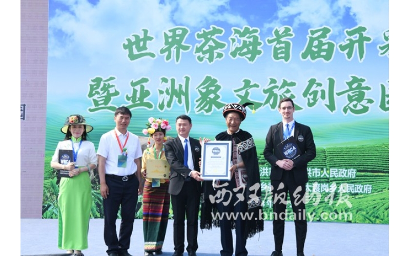世界纪录认证&ldquo;世界最大大叶种名山名茶科普园&rdquo;落户大渡岗World Record Certification "World's Largest Large Leaf Seed Famous Mountain Tea Science Popularization Park" settles in Dadugang