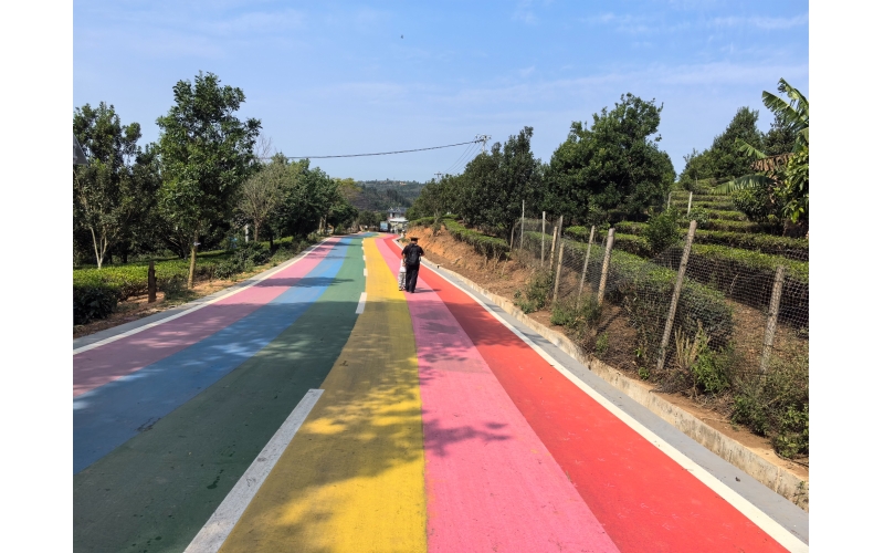 中国云南省西双版纳大渡岗万亩茶园彩虹路Rainbow Road, Wanmu Tea Garden, Dadu Gang, Xishuangbanna, Yunnan Province, China
