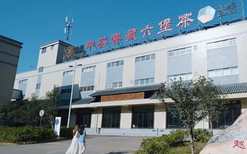 云南中茶茶业有限公司 Yunnan Zhongcha Tea Industry Co., Ltd