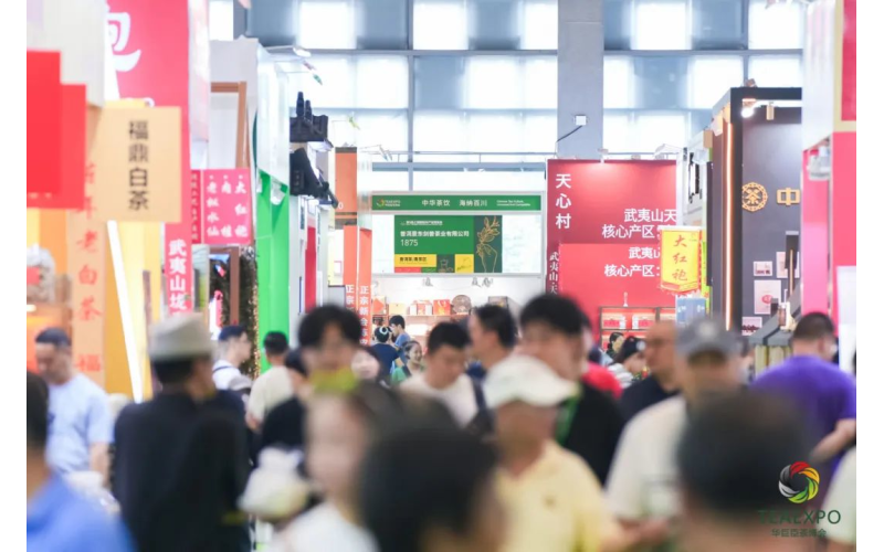 600+茶企扎堆上海！这场茶博会不仅能品茶，还藏着中国茶走向世界的&ldquo;密码&rdquo;600+tea companies gather in Shanghai! This tea expo not only offers tea tasting, but also hides the "code" for Chinese tea to go global