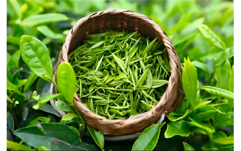 中国茶叶介绍 Introduction to Chinese Tea